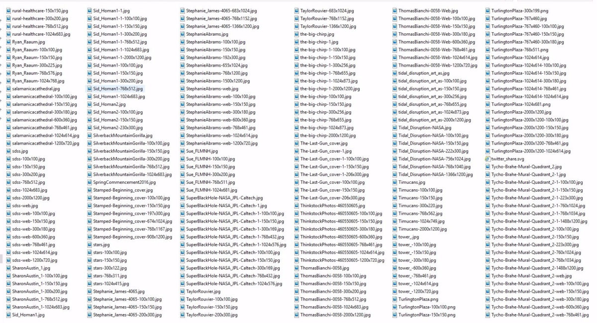 Screenshot of the WordPress media library with multiple versions of each photo.